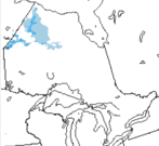 No smoke is forecasted in Northeastern Ontario.